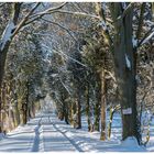 Spuren im Schnee