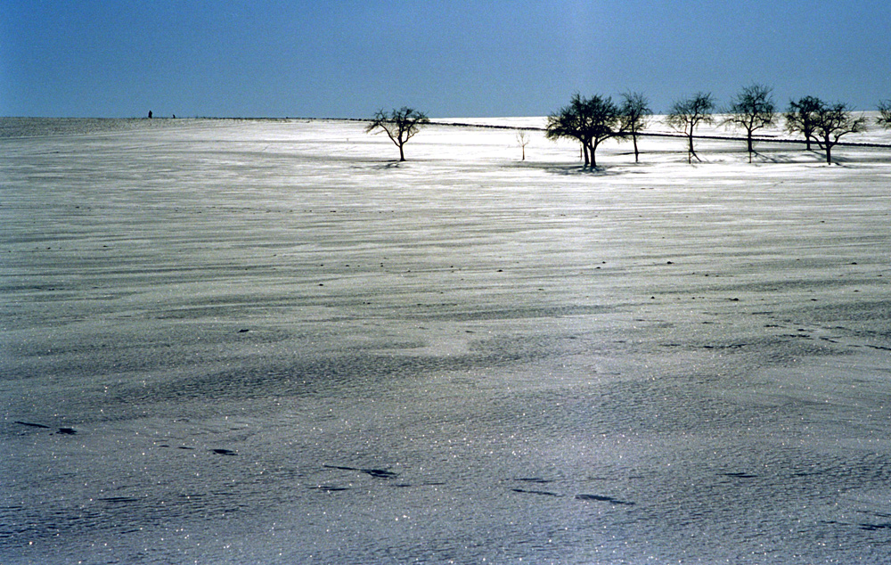 Spuren im Schnee