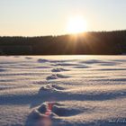 Spuren im Schnee