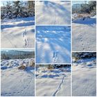 Spuren im Schnee 