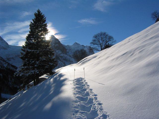 Spuren im Schnee