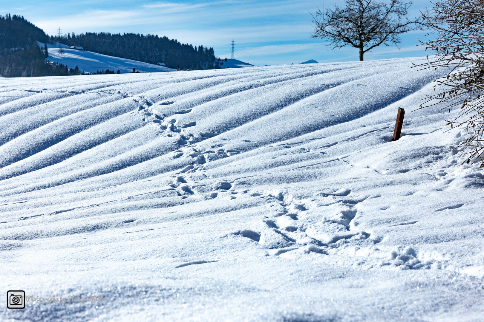 Spuren im Schnee