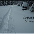 Spuren im Schnee