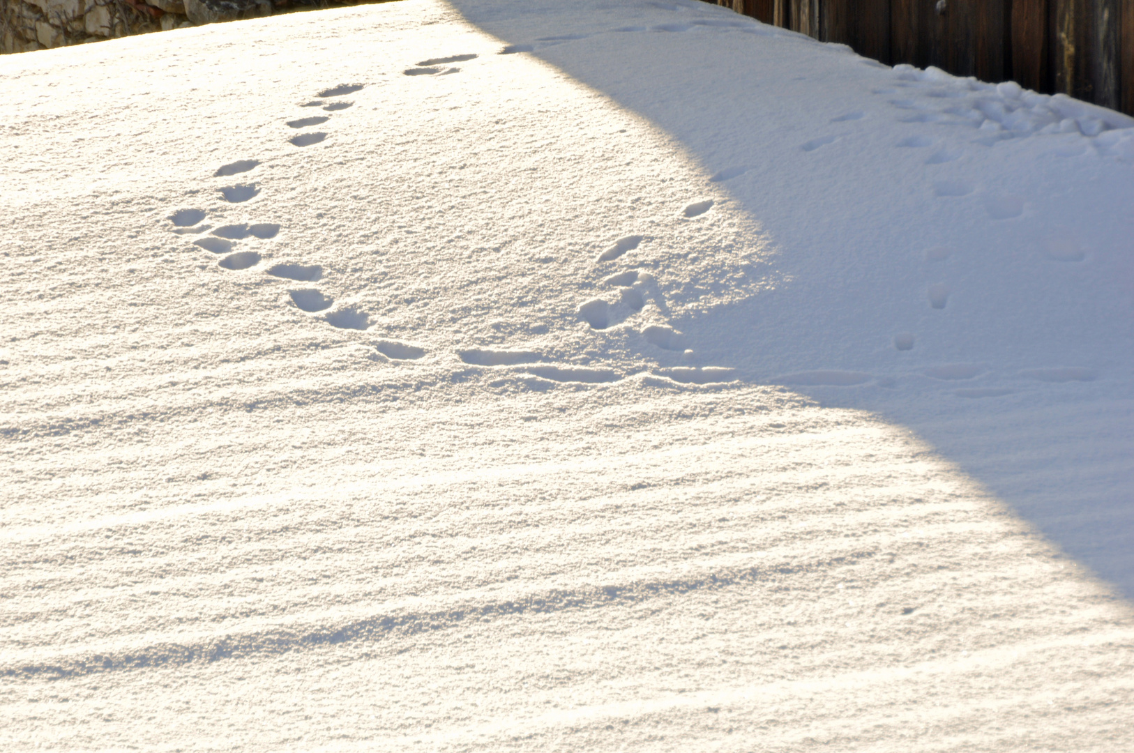 Spuren im schnee