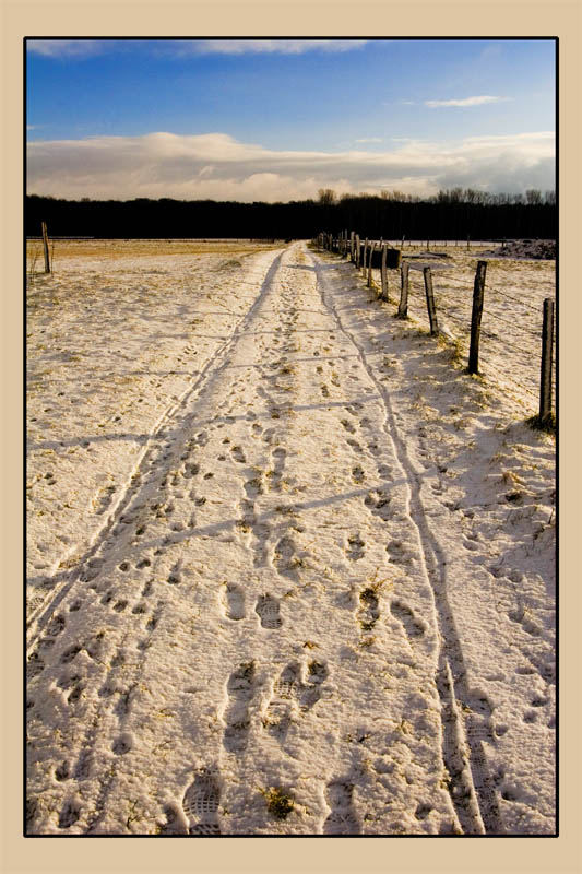 Spuren im Schnee