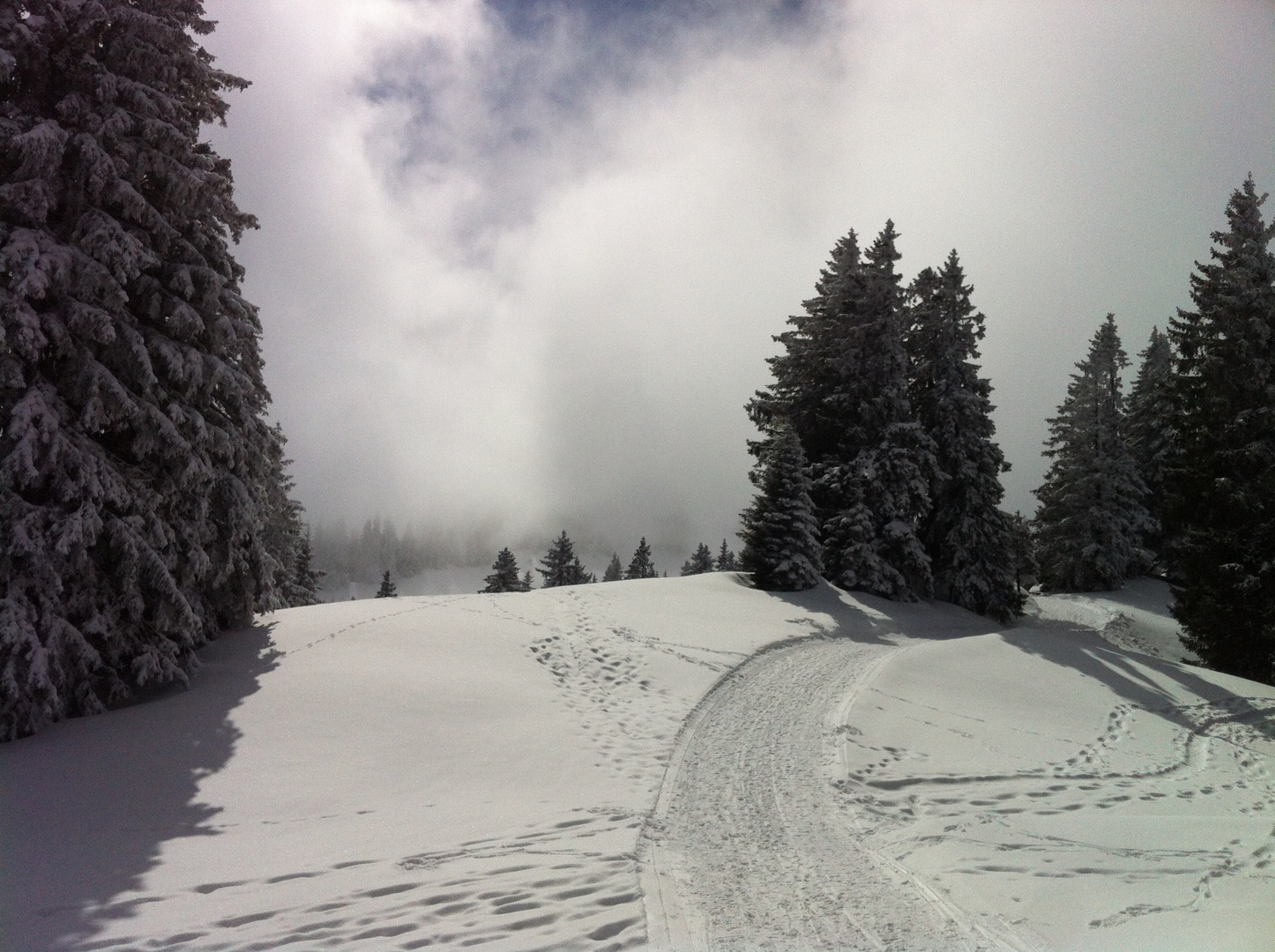 Spuren im Schnee