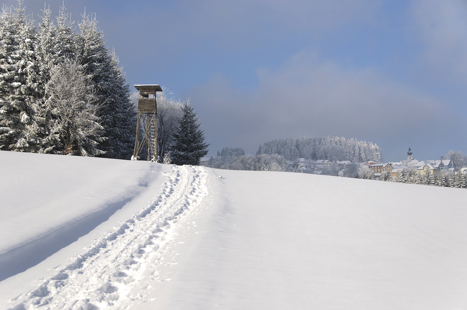 Spuren im Schnee