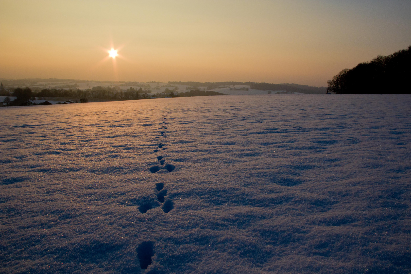 Spuren im Schnee