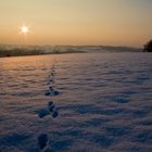 Spuren im Schnee