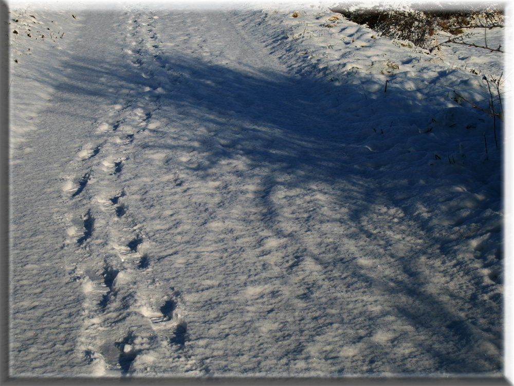 Spuren im Schnee