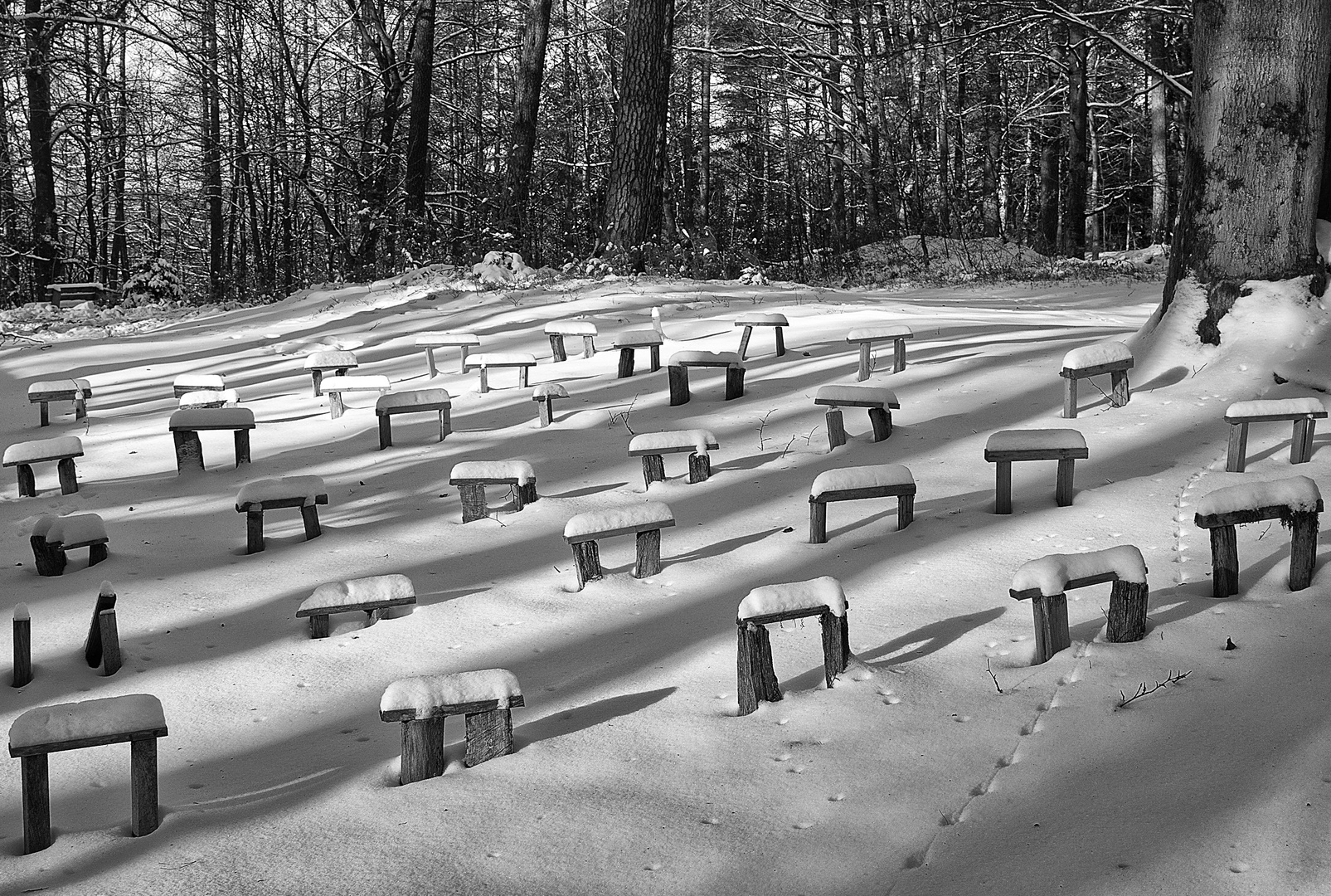 Spuren im Schnee