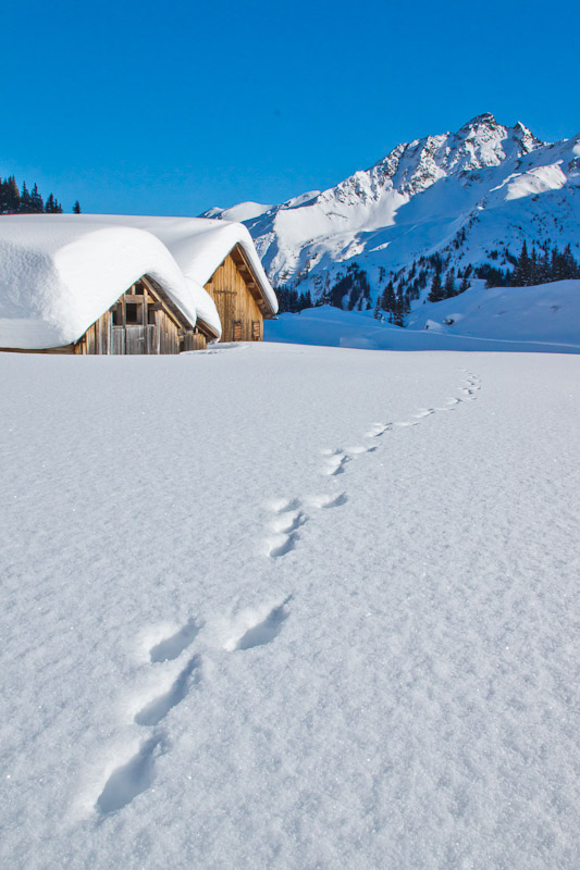 Spuren im Schnee