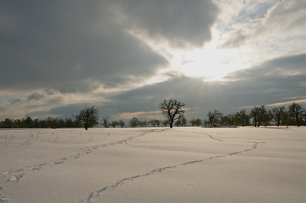 Spuren im Schnee