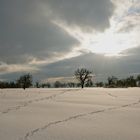 Spuren im Schnee