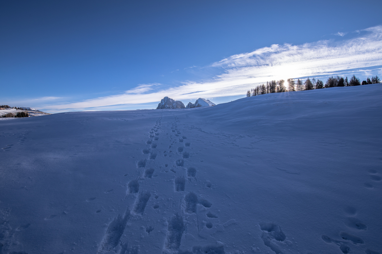 Spuren im Schnee