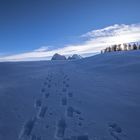 Spuren im Schnee