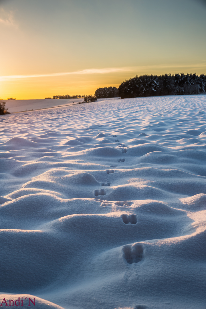 Spuren im Schnee