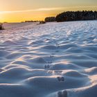 Spuren im Schnee