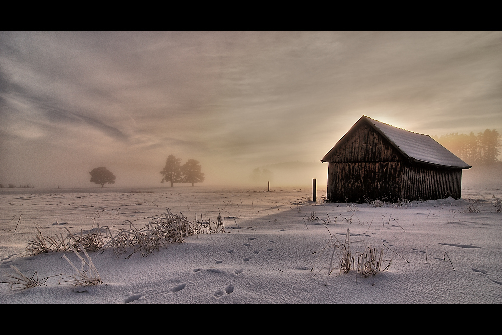 Spuren im Schnee