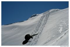 Spuren im Schnee