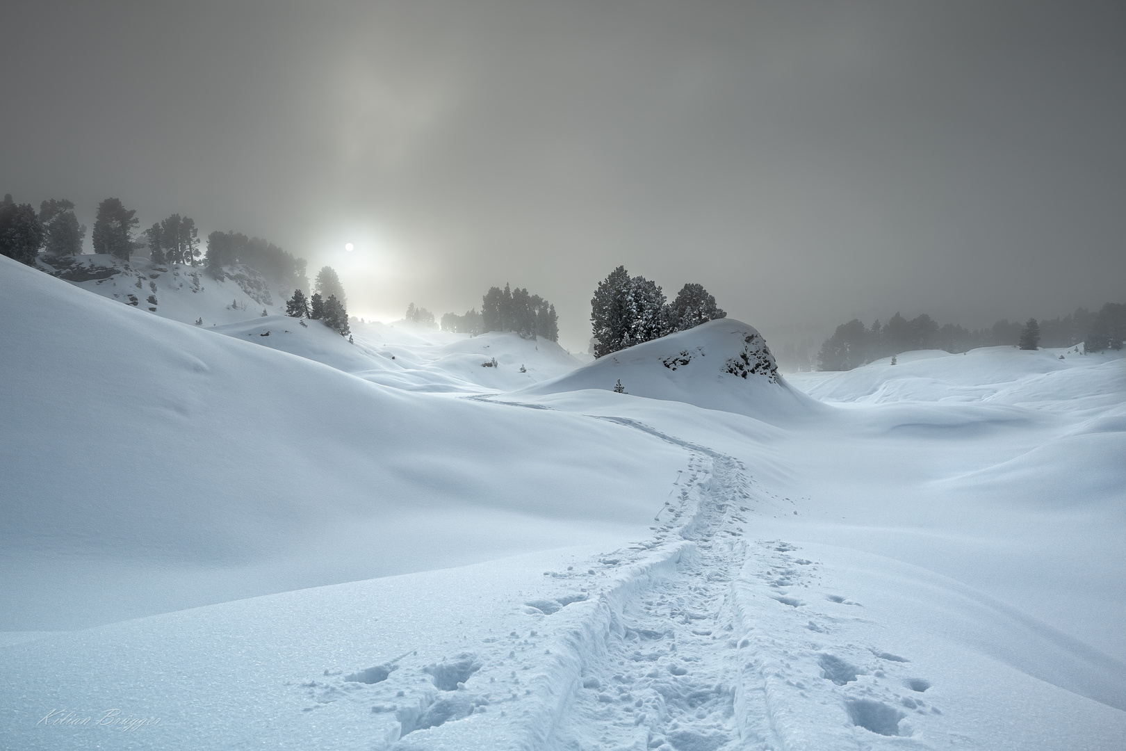 Spuren im Schnee