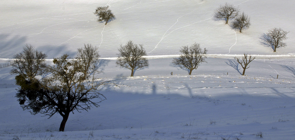 Spuren im Schnee