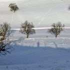 Spuren im Schnee