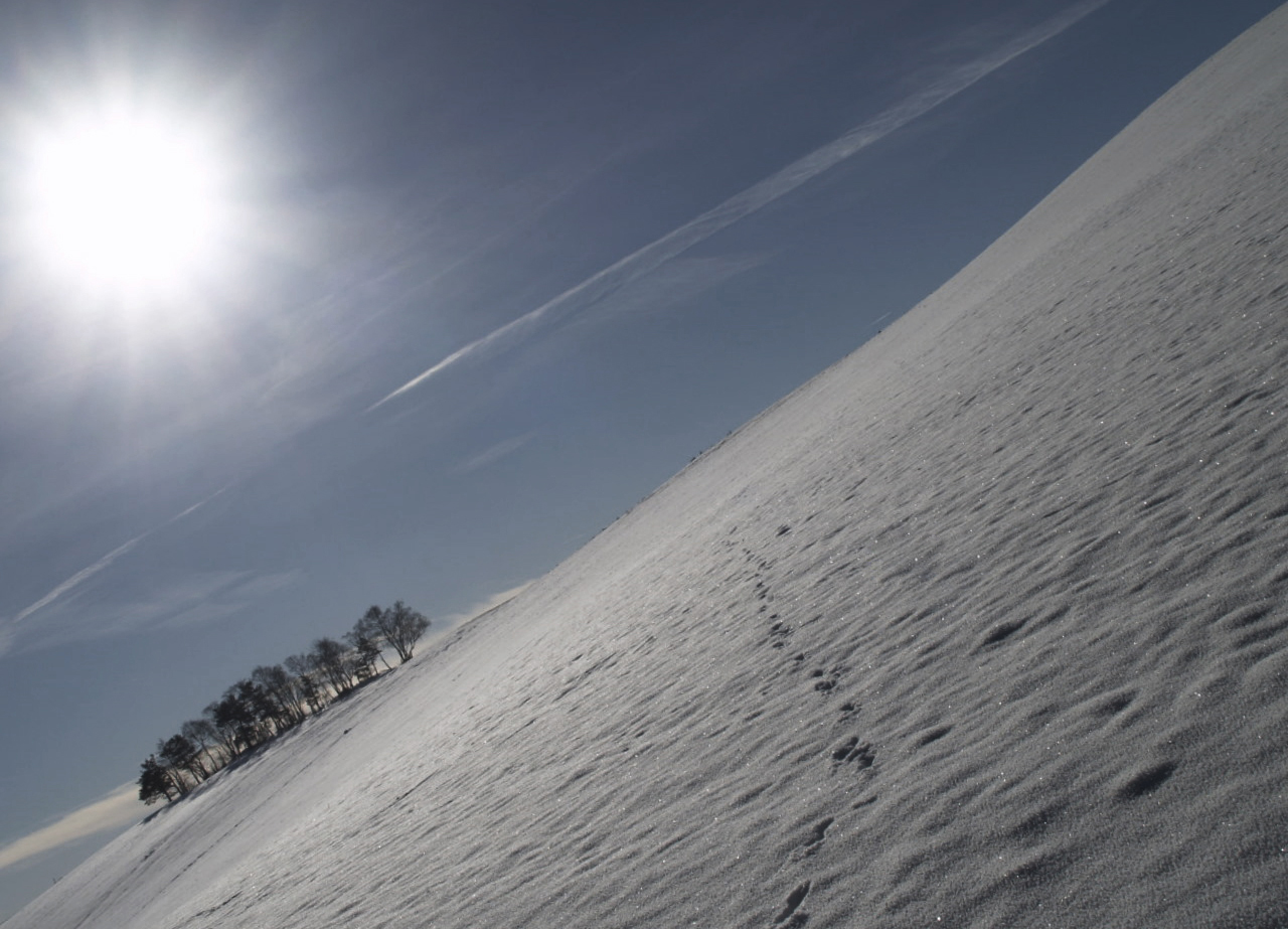 spuren im schnee