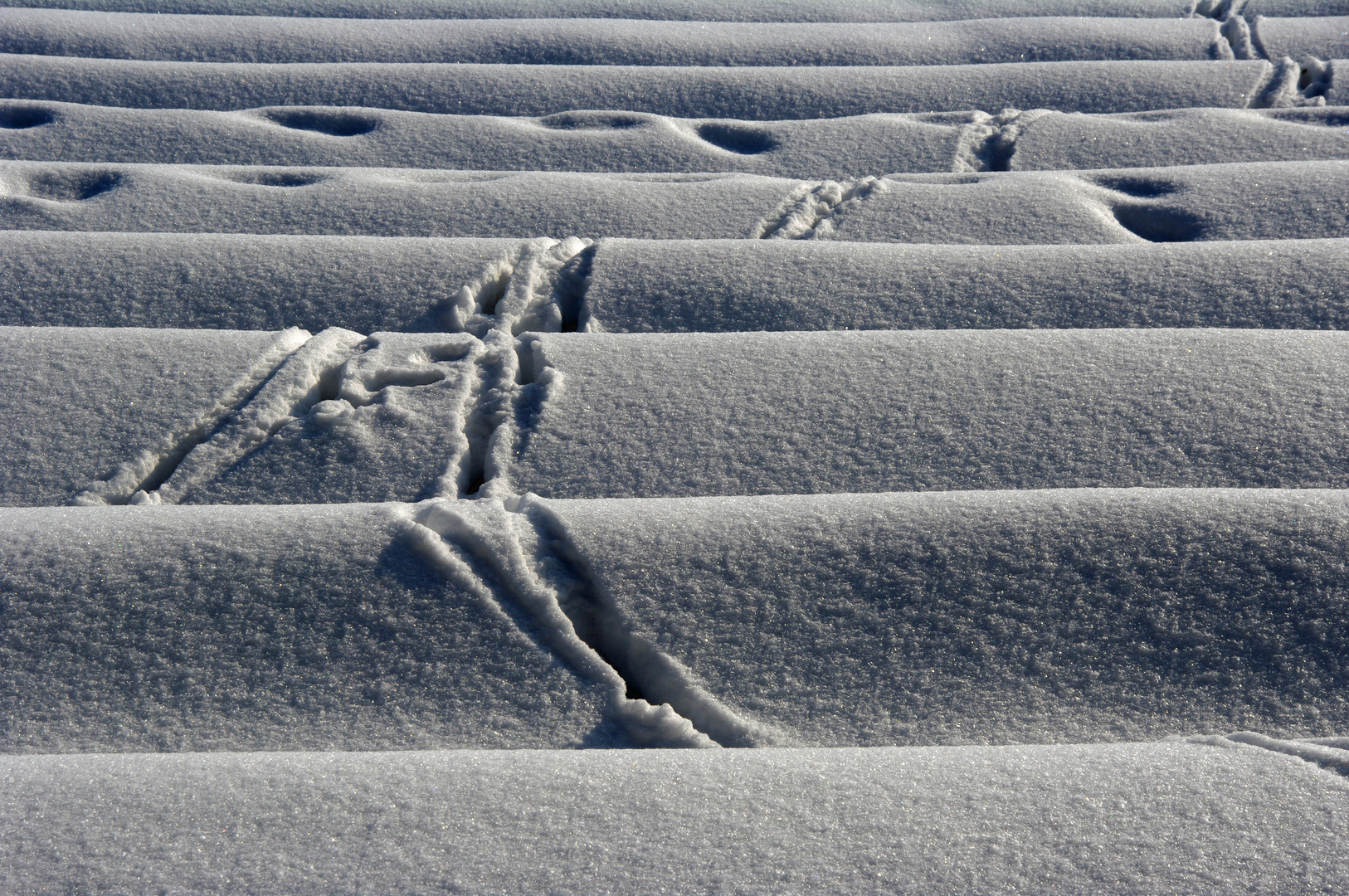 Spuren im Schnee