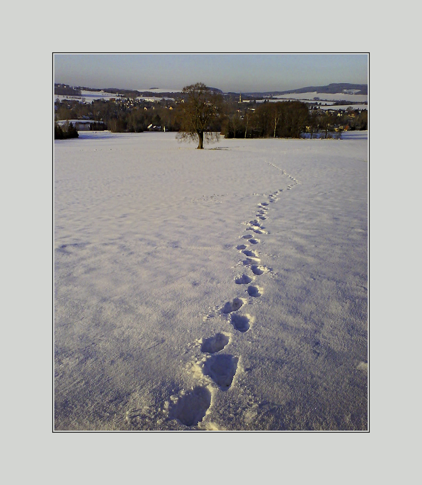 Spuren im Schnee