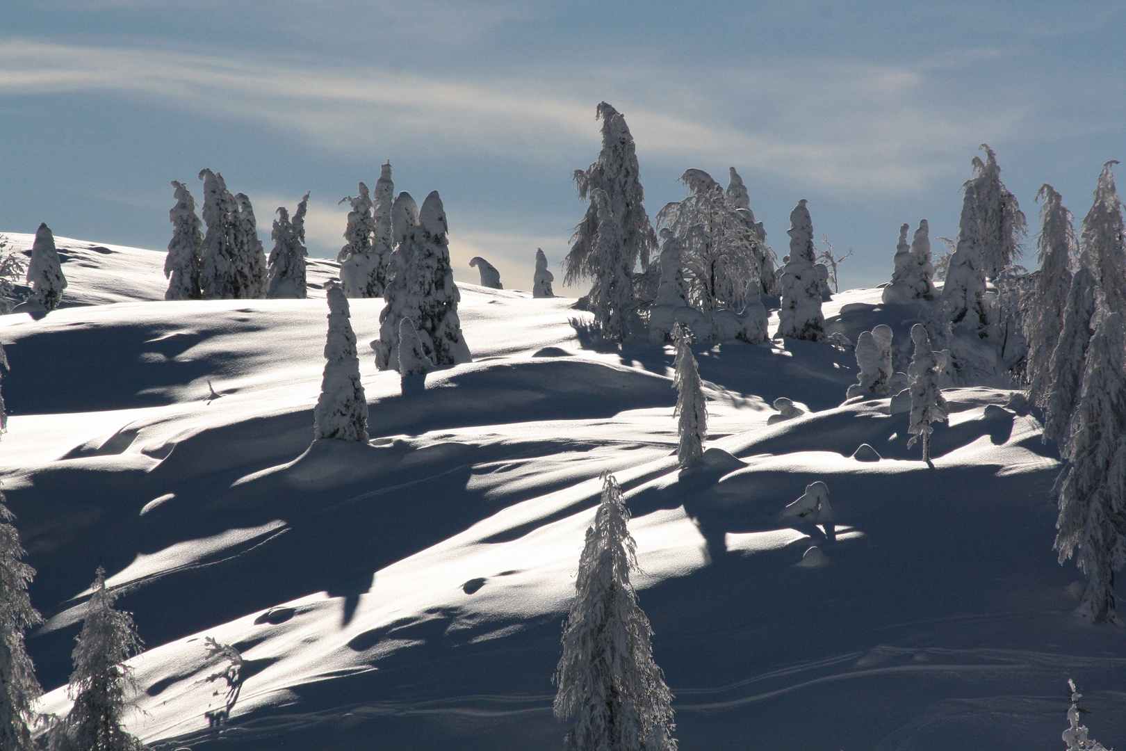 Spuren im Schnee