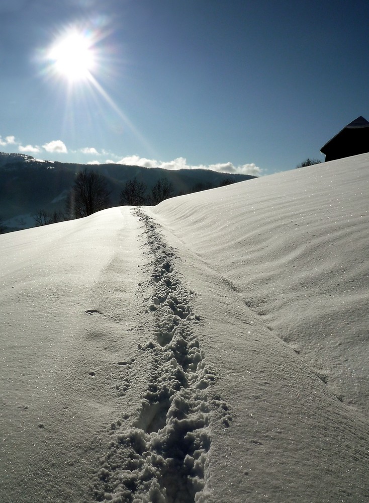 Spuren im Schnee