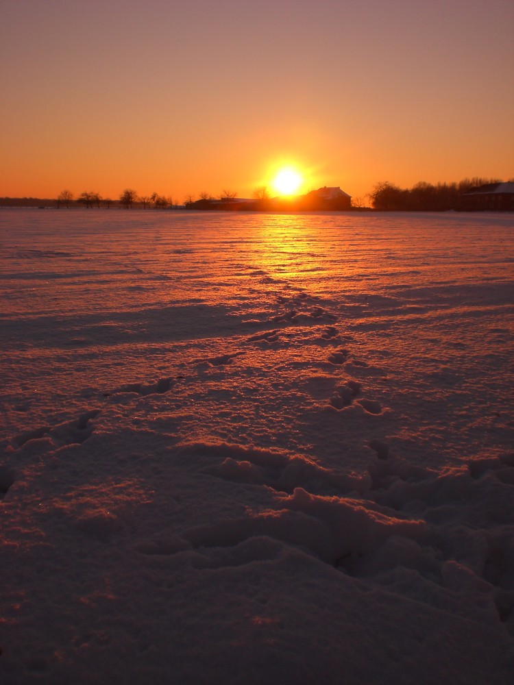 * Spuren im Schnee *