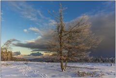 Spuren im Schnee