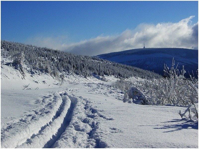 Spuren im Schnee