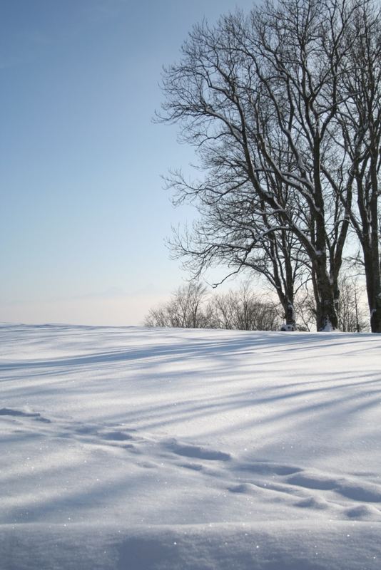 Spuren im Schnee