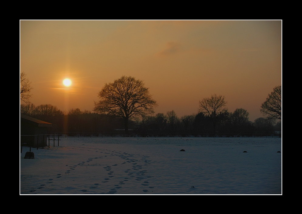 Spuren im Schnee