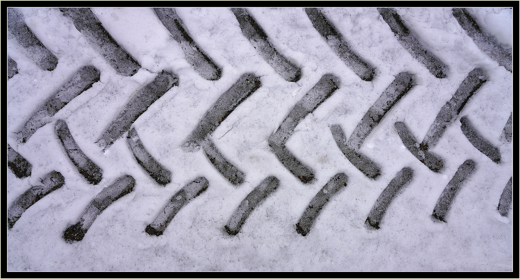 Spuren im Schnee. ( 8. März 23 )