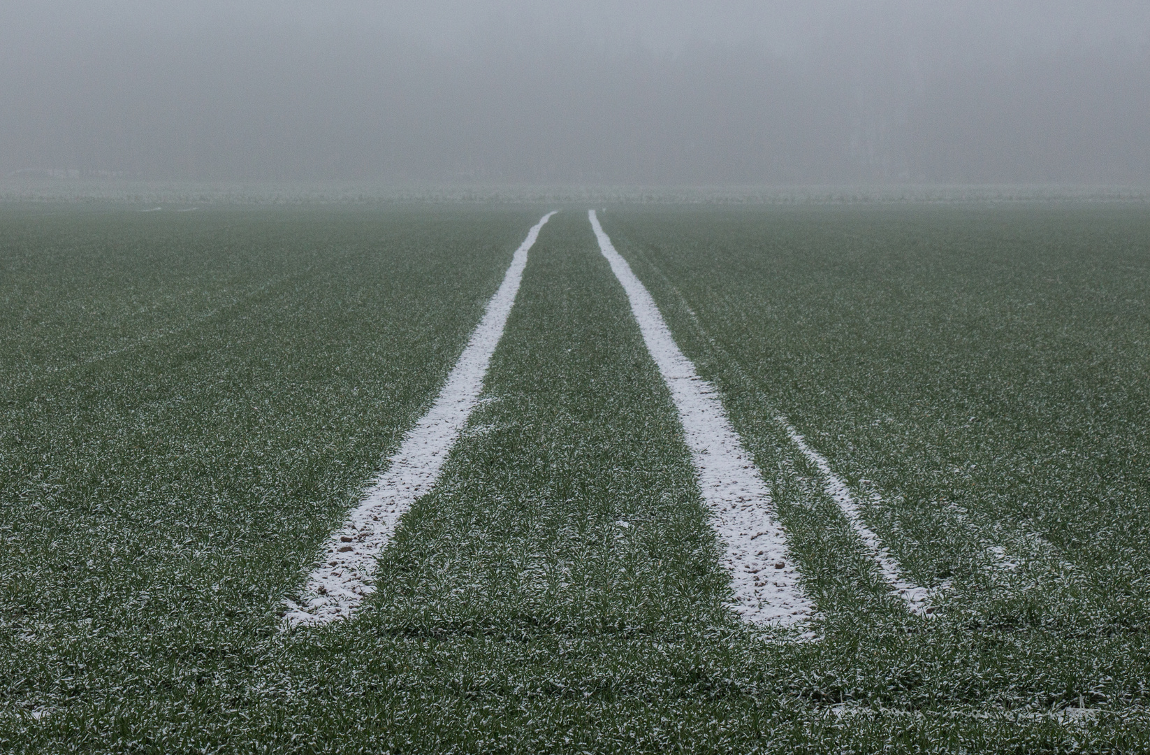 Spuren im Schnee