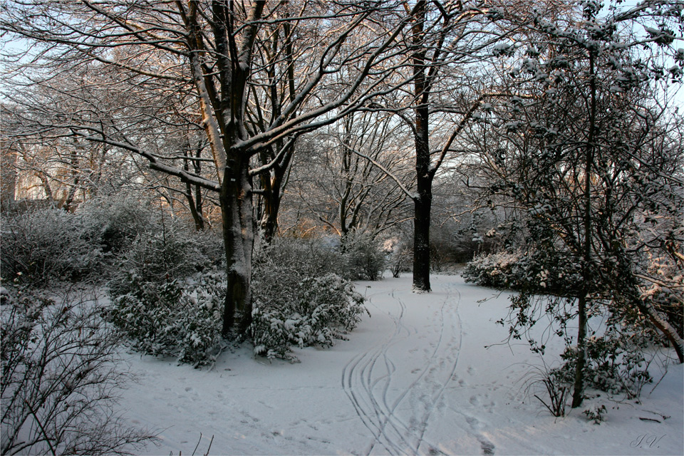 Spuren im Schnee.....