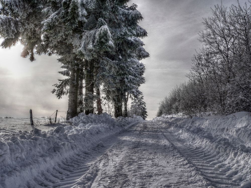 Spuren im Schnee