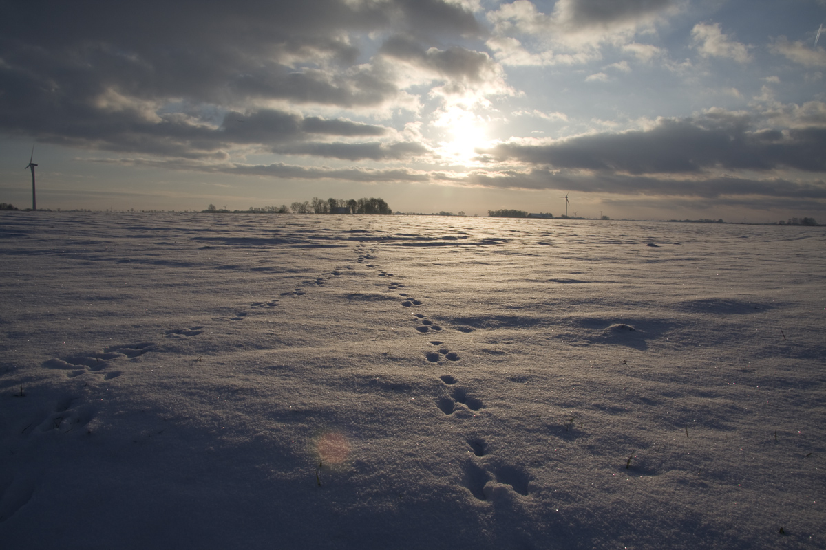 Spuren im Schnee ..