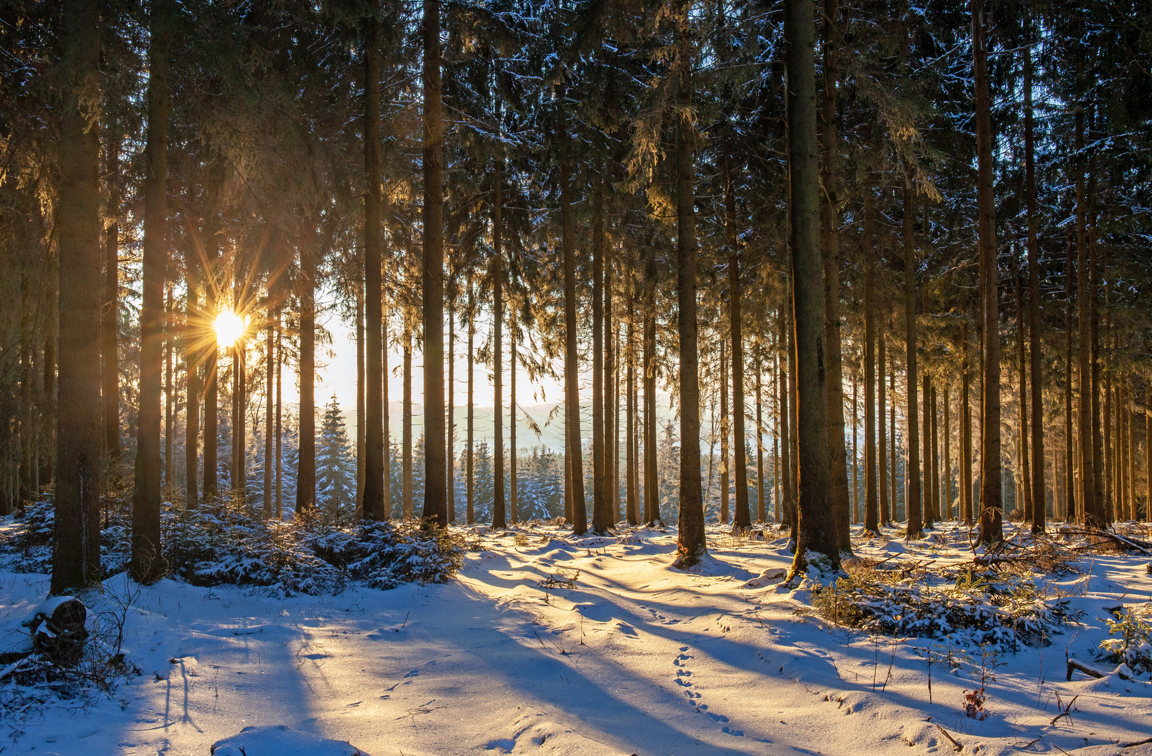 Spuren im Schnee