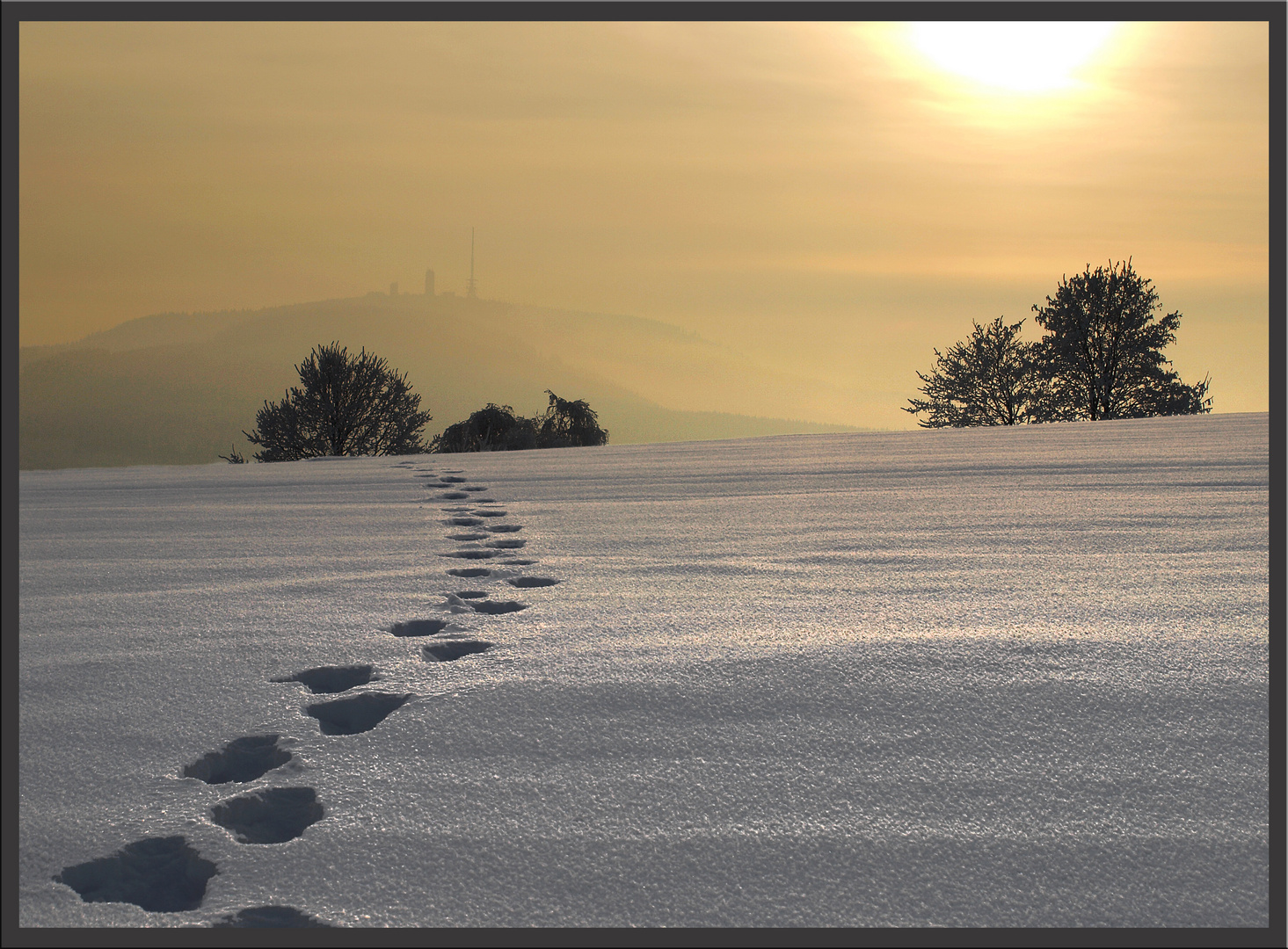 Spuren im Schnee