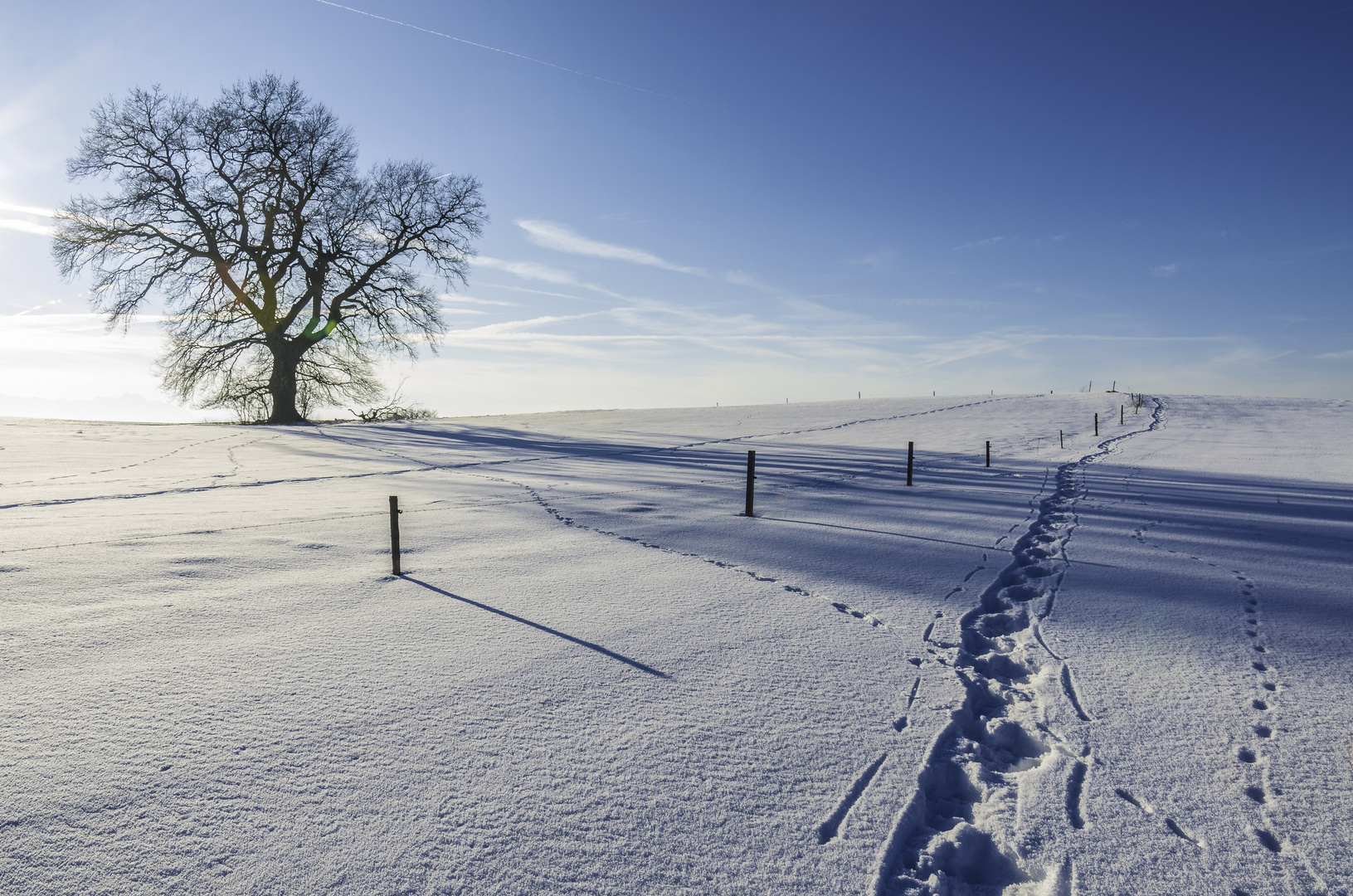 Spuren im Schnee