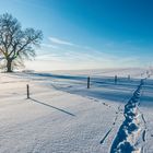 Spuren im Schnee