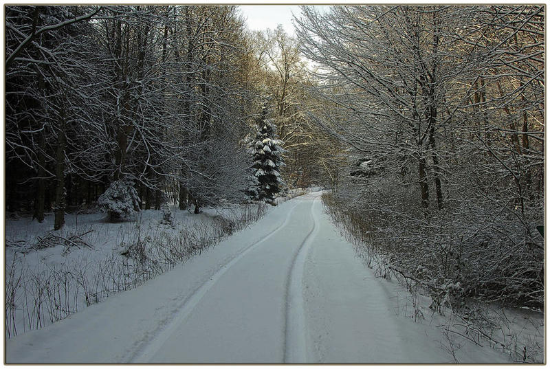 Spuren im Schnee.