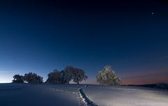 Spuren im Schnee