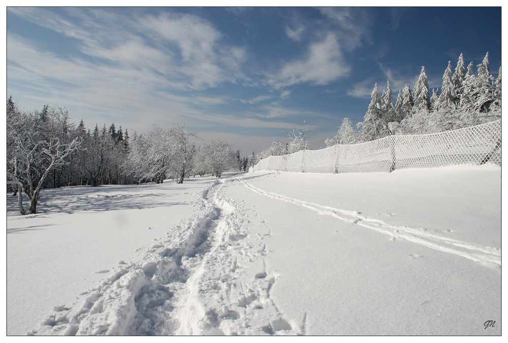 Spuren im Schnee