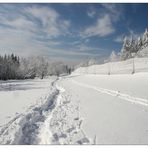 Spuren im Schnee